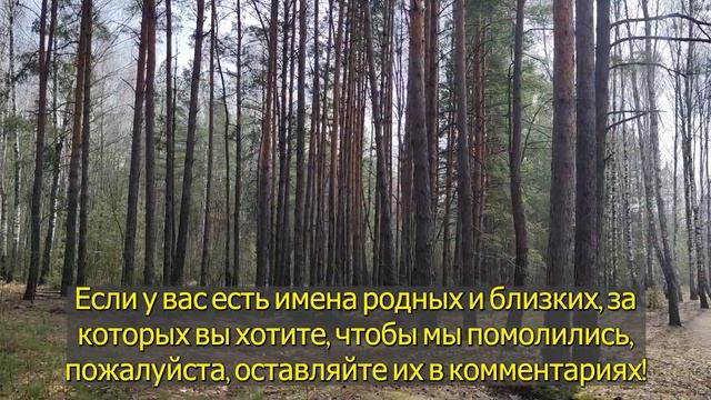 Пропустишь 5 ноября потом не жалей Сильная молитва П