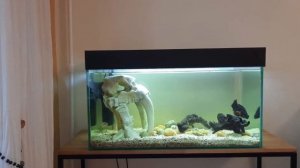 Ремонт светильников ССБАква аквариума