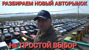 РАЗБИРАЕМ НОВЫЙ АВТОРЫНОК СЕГОДНЯ, СМОТРЕТЬ ДО КОНЦА