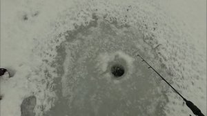 Рыбалка на Онежском озере 2025