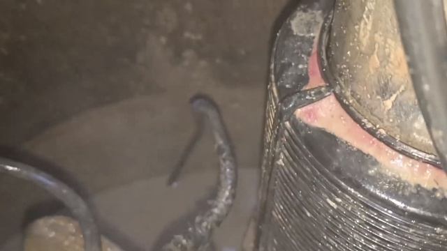 д. Богородское. Треш !! Септик возле колодца. podkapaev.ru смотреть онлайн