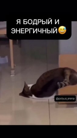 Ситуация - понедельник!