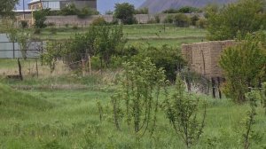 Райский уголок 🌳.