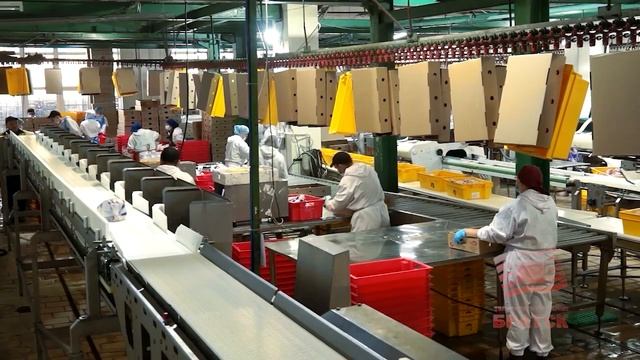 Программа БЭФ 2023 объединила предпринимателей Сибири, России и ближнего зарубежья смотреть онлайн