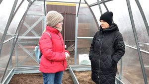 Отзыв о теплице "Дачная-Стрелка Люкс" от компании "Воля