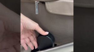 Коляска Anex Eli