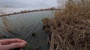 РЫБАЛКА НА БЛЕСНУ 🔥🔥🔥Осень 2024🍁