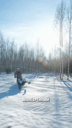 Как Тебе Такое Илон Маск? ПОДВЕСКА от Горника и Китайский ДВИЖОК!