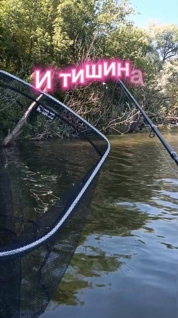 Насчёт аренды дома в Астраханской области в г. Ахтубин смотреть онлайн