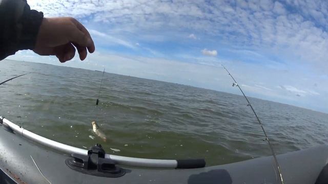 Сазан карась плотва здесь есть вся рыба. Рыбалка на фл? смотреть онлайн