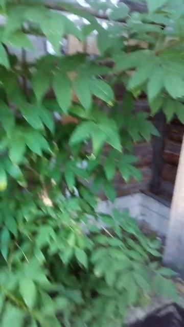 приехал покапать вечером погреб смотреть онлайн