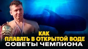 Как плавать в Открытой воде. Советы для начинающих и опытных - от Чемпиона мира.