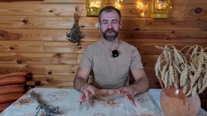 НИТРАТЫ В ОВОЩАХ И ФРУКТАХ. Как не допустить избытка н?