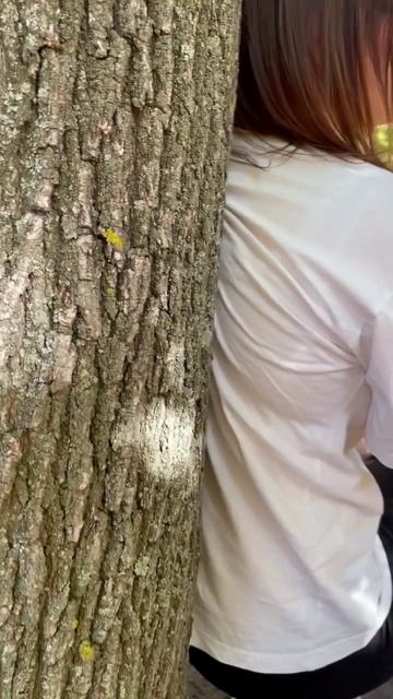 Где твоя золотая жила? смотреть онлайн