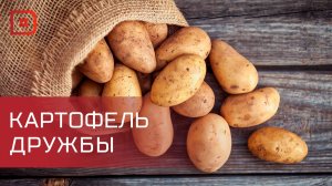 В селе Карата посадили белорусский картофель, подаренный Лукашенко