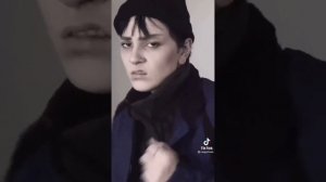 Новелла зайчик тик ток