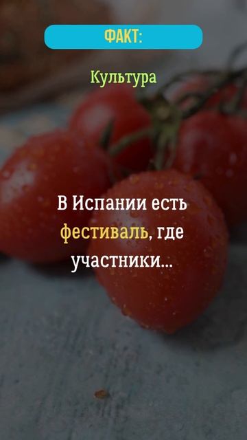 В Испании есть фестиваль, где участники...?  #испания  #ф?