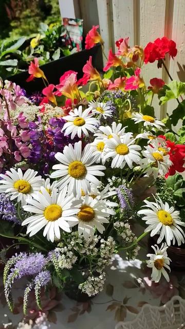 Завтрак на террасе #дача #карелия #деревня #завтрак #цв? смотреть онлайн