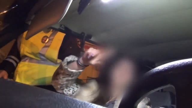 ПЬЯНЫЕ БАБЫ №2 | ЛУЧШИЕ ПРИКОЛЫ АПРЕЛЬ 2019 ржака до слез угар прикол - ПРИКОЛЮХА