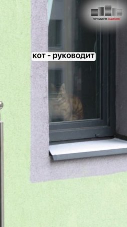 Технический надзор #ремонтбалкона