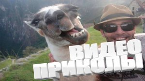 Я РЖАЛ ДО СЛЕЗ😂 Смешные видео - Лучшие ПРИКОЛЫ# смех приколы