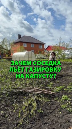 Зачем соседка льёт газировку на капусту