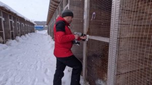 Акция «Добрая Лапа»