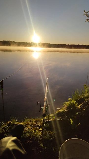 утро должно быть таким!! пение птиц, рыбалка, восход со? смотреть онлайн