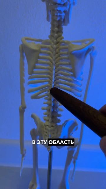 Укрепление спины: упражнения для расширения диапазон? смотреть онлайн