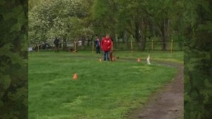 1.  выражено/перв ISOR V. ZISAWINKEL (Grimm Della Valcuvia – Desy v. Zisawinkel)