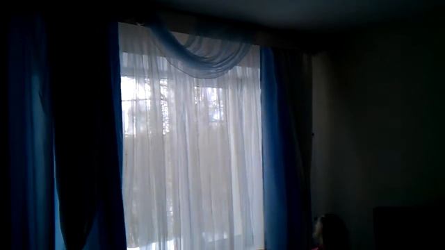 Фореста Фестиваль парк номер стандартный смотреть онлайн