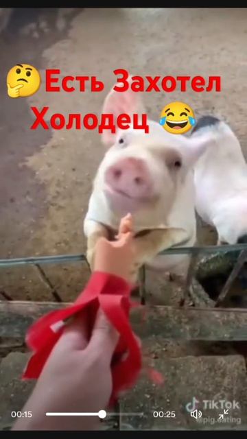 Это не листья от Свеклы есть 🤣 смотреть онлайн