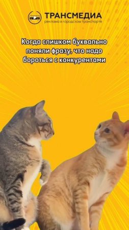 случайность?