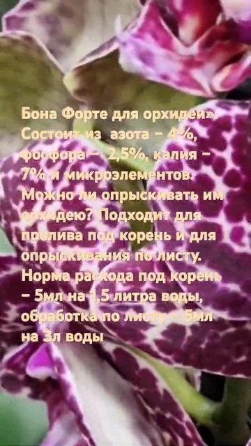 Правильная подкормка орхидей смотреть онлайн
