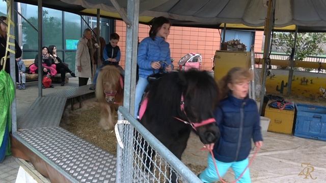 Пасхальные развлечения для детей в Швейцарии. Kids Easter fu смотреть онлайн