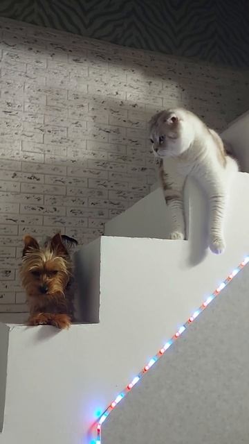 Все на лестнице) смотреть онлайн