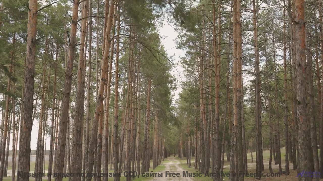 Звуки, используемые для межпространственных путешествий - первые шаги! - There He is Bridge -- New M