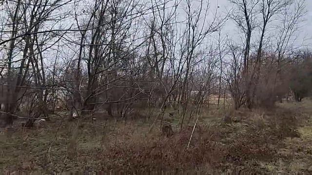 #13. Альпийская горка. смотреть онлайн