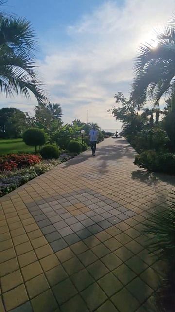 СОЧИ 7 октября +26 #море #пляж #сочи #отдых смотреть онлайн