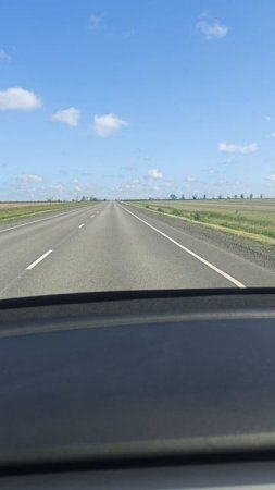 В поездке
