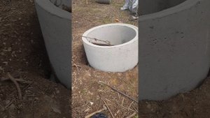 монтаж бетонных колец вручную!!!