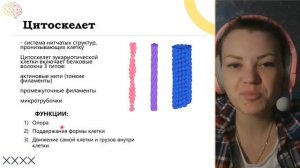 Цитоскелет #егэ #биология #клетка #биологияегэ #биолог?