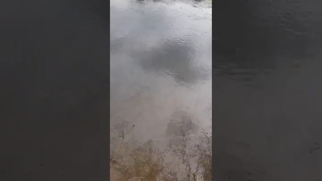 Где больше шансев найти золото в реке смотреть онлайн