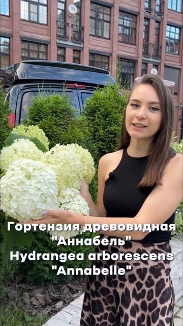 ВЫ ТАКОГО ЕЩЕ НЕ ВИДЕЛИ!!!