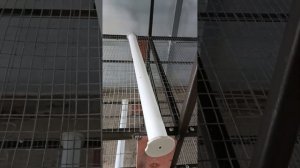 Новый птичник. Клетки. Пометоудаление.