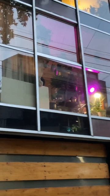 Хочу очень много растений домой, пока только манго с а? смотреть онлайн