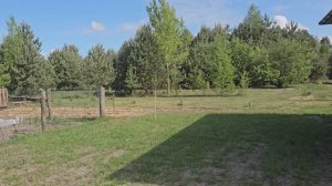 Хутор в лесу. Подарки для подписчиков из Германии. Печной комплекс почти готов. Считаем цыплят