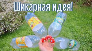 Почему я Раньше до этого не додумался, Как сделать органайзер за 4 минуты!