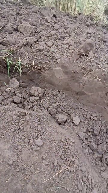 Ручная копка💪🙌 жёсткий грунт, лопата сдалась😵 #handmad смотреть онлайн