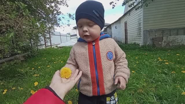 май 2025